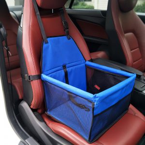Blue Dog Car Seat